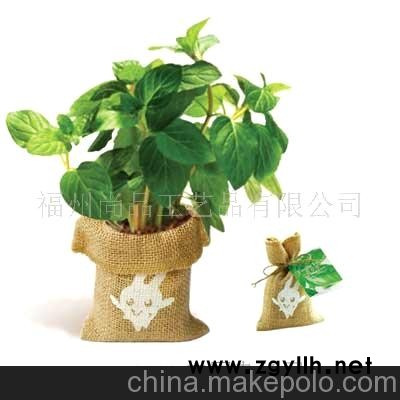 批发集市-热销混批，供应DIY园艺，小盆栽