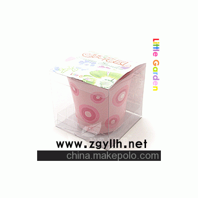 梦花园，迷你种植，花卉盆栽，DIY产品