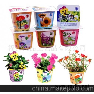 diy园艺，时尚盆栽,小盆栽,时尚园艺