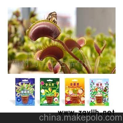 批发集市-热销混批，供应迷你盆栽，DIY，小盆栽