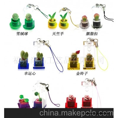 鲜活植物手机链，时尚园艺，微观植物,小商品