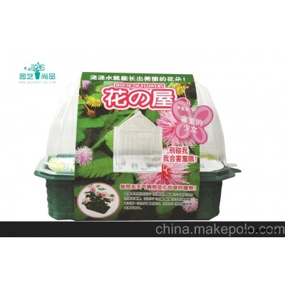 新款热销 花之屋-幸运草 迷你时尚园艺 DIY种植 桌上趣味园艺