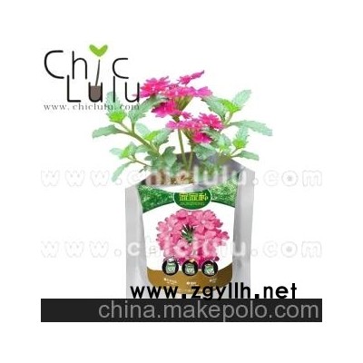 可种花的环保纸袋，时尚居家园艺