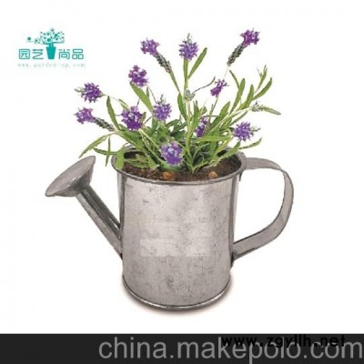 盆景，DIY盆,趣味种植--薰衣草，OEM 订做