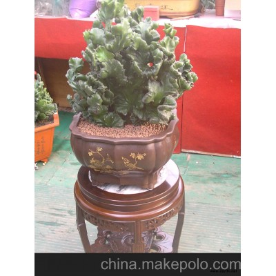 一件代发货#金麒麟#北京低镇宅化煞