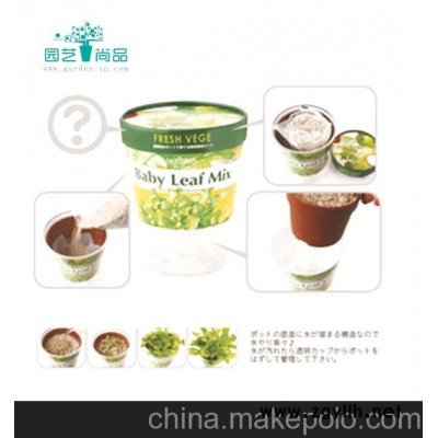 DIY园艺 可种果蔬的环保花盆 居家园艺 小盆栽 时尚园艺种植