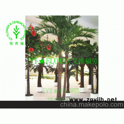 臻然园艺绿化更专业)苏州办公室绿色植物租赁