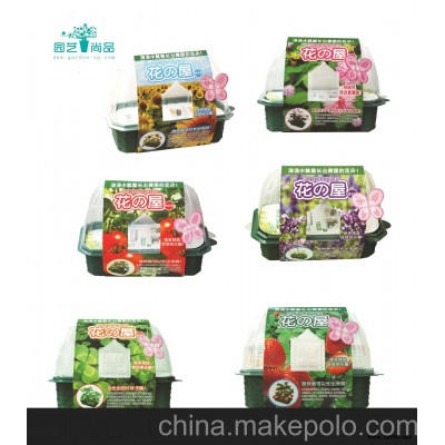 新款热销 花之屋-含羞草 迷你时尚园艺 DIY种植 桌上趣味园艺