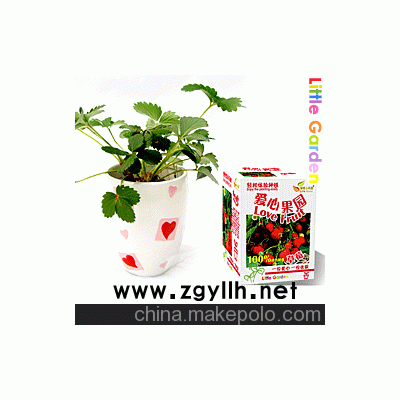 爱心果园，秘密小花园，花卉盆栽，DIY产品