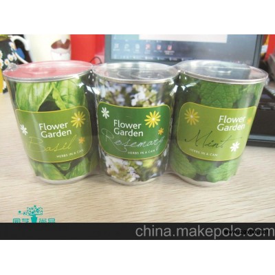 时尚园艺DIY 团购 迷你植物（薄荷） 香草，提供OEM订做
