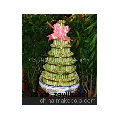 东莞出售步步高升开运竹树木盆景