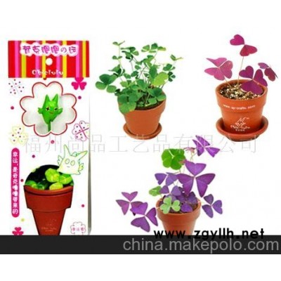 批发集市-热销混批，供应小礼品，幸运草，迷你盆栽