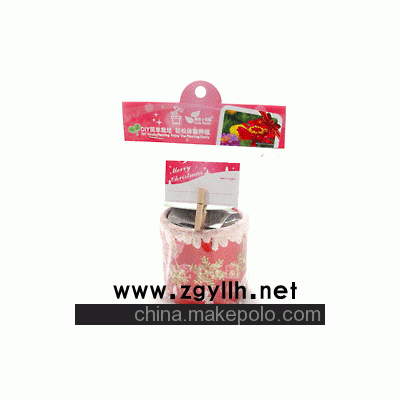 踏雪寻梅，秘密小花园，踏雪寻梅，花卉盆栽，DIY种植