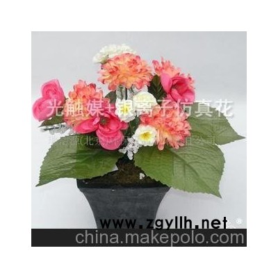 DIY小盆景 净化空气除甲醛除异