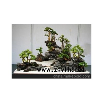 供应花草盆景 石材盆景