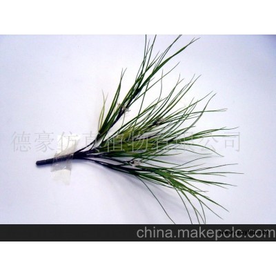 大量供应水草(图)