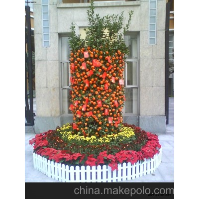 萝岗区年桔订购 年桔销售 物业公司年桔供应