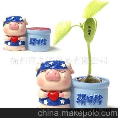 迷你花卉 我爱你微型盆景