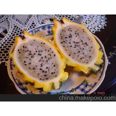 火龙果（麒麟金果）(图)-火龙果（麒麟金果）