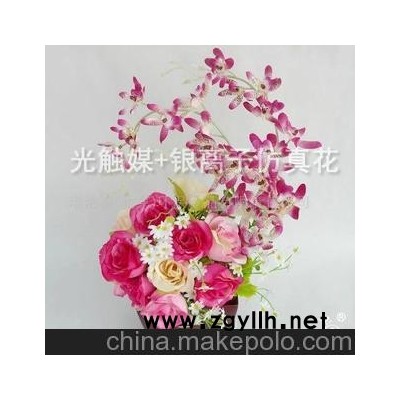 红妆 净化空气除甲醛除异味