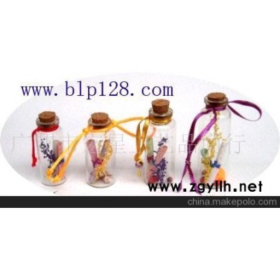 2250许愿瓶-实木塞许愿瓶