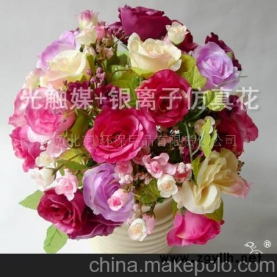 新品繁花 净化空气除甲醛除异味光