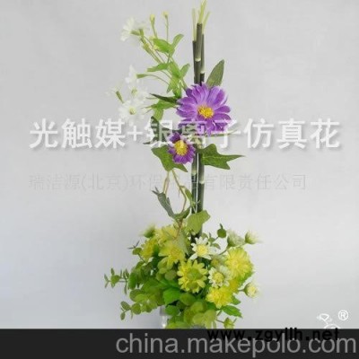 小雅 净化空气除甲醛除异味光触媒