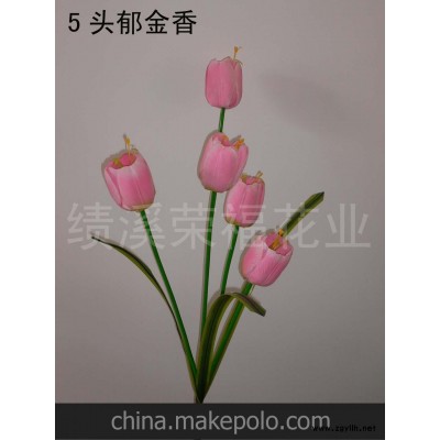 供应5头郁金香(图)