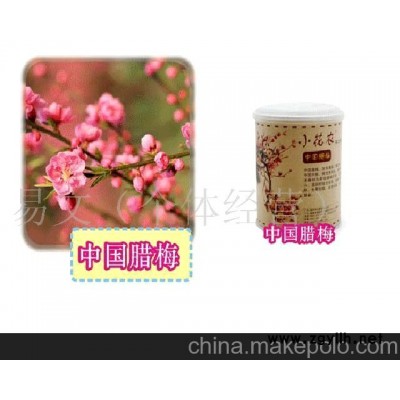 小花农又出新品了美之林迷你盆栽迷你种植-中国腊梅