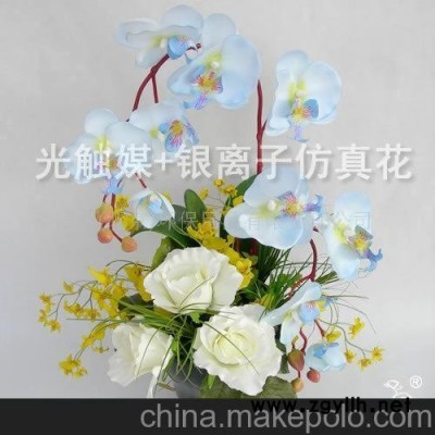 淡雅 净化空气除甲醛除异味光触媒