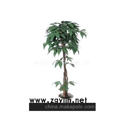 大号绿发财树木盆景