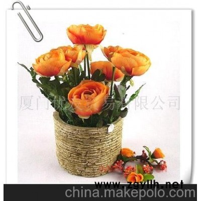 批发供应茶花盆景