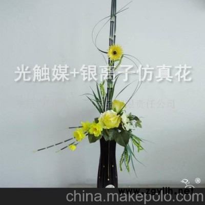 婷美 净化空气吸甲醛除异味光触媒