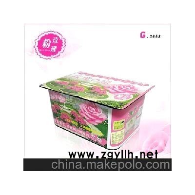 DIY022玫瑰之恋 新奇创业项目 室内观花植物 室内花卉栽培