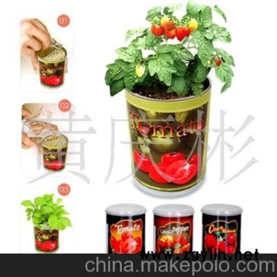 铁罐花卉玫瑰花盆景