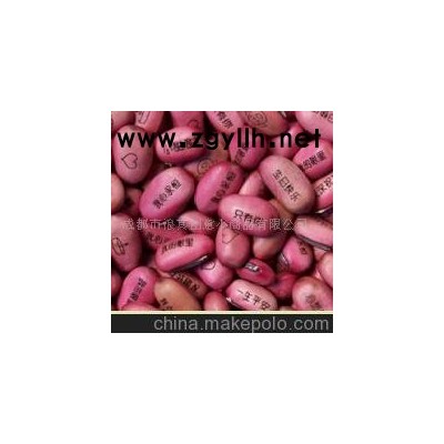 批发供应魔豆种子