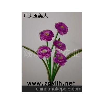 供应5头虞美人(图)