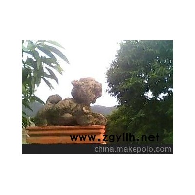 百吉花园各种动物盆景