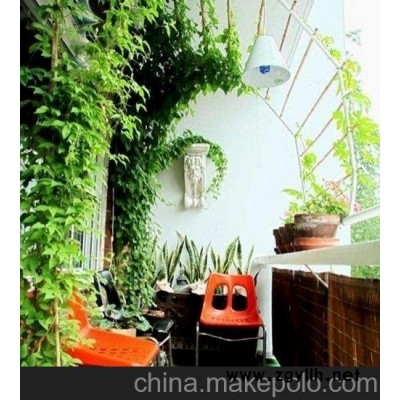 花草租摆 长沙花卉租赁 长沙花卉价格