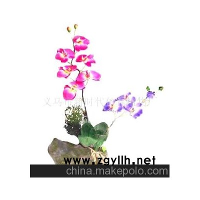 仿真蝴蝶兰盆景