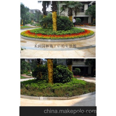 长沙花卉租摆价格 长沙花卉临时租摆  长沙花卉市场