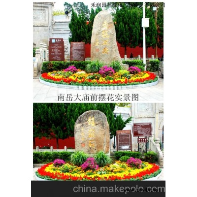 长沙国庆节花卉租赁 草花租赁 花坛设计