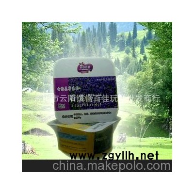 DIY010古怪花草之香紫罗兰 微型花草盆景 小本创业项目