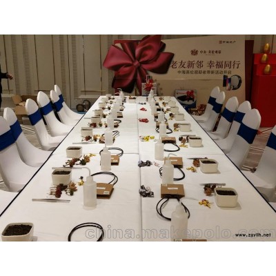 供应苏州多肉植物DIY手工种植