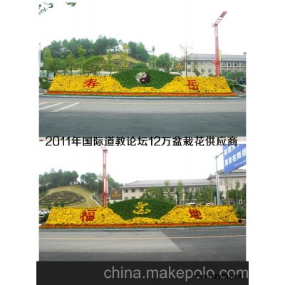 长沙节日摆花 临时花卉租赁 草花租摆 园林花卉设计