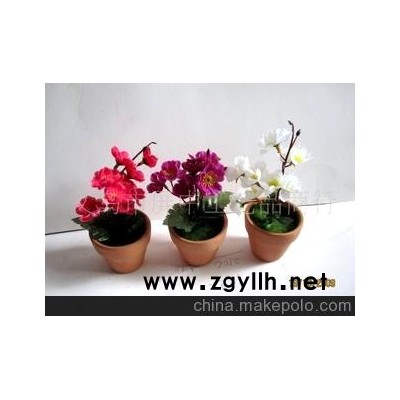 混批小盆景 微型盆景 花草盆景