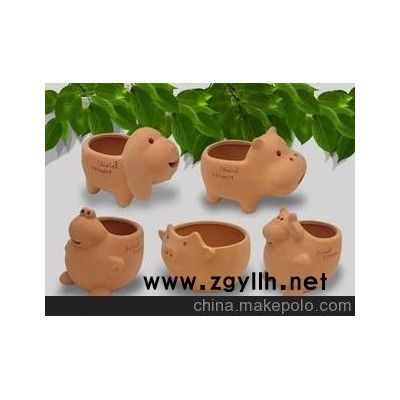 批发各种花卉 花盆 供应青岛花卉种子 阳台菜园