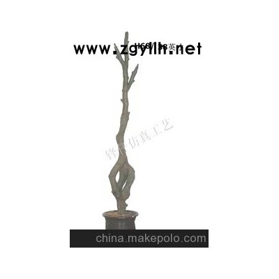 厂家生产 规格众多 小盆景树头