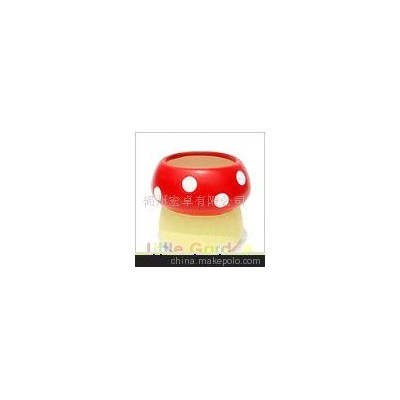 魔豆、魔蛋、小花园栽培