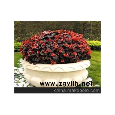 长沙花卉租赁 国庆临时摆花  花坛设计 花卉造型设计